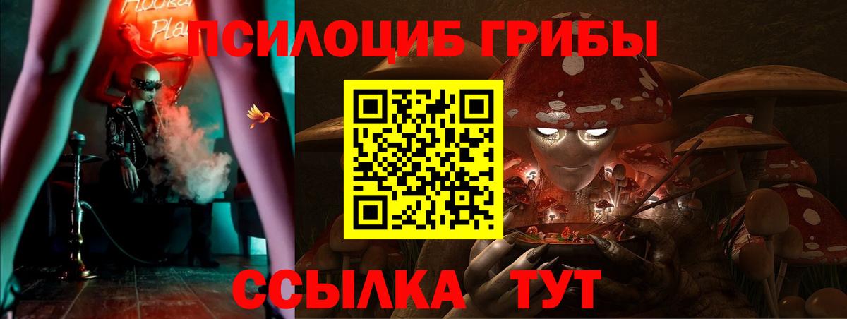 Псилоцибиновые грибы Cubensis  Псилоцибиновые грибы Cubensis  Вход с VPN  где продают   Абинск 